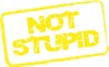 Logo for NotStupid.org