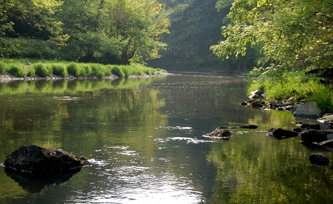 Photograph of the River Torridge
