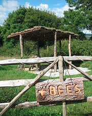 Photograph of a "Bees" sign at Embercombe Farm