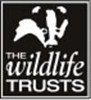 Logo for the Wildlife Trusts