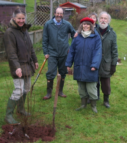 Photograph of a group of people planting trees