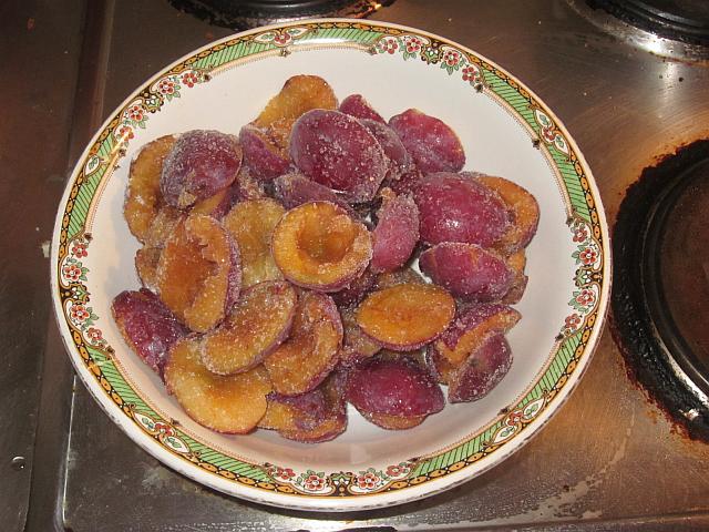 Frozenplums Web