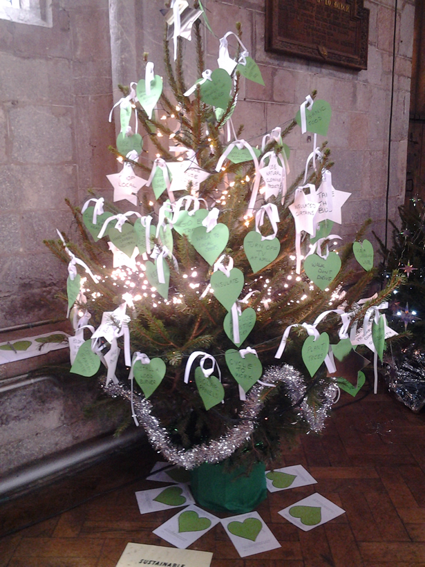 Photograph of the Sustainable Crediton Christmas Tree (2015)