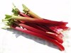 picture of rhubarb