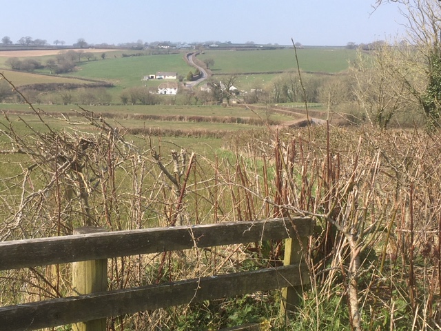 Fie;ld hedges near Cred
